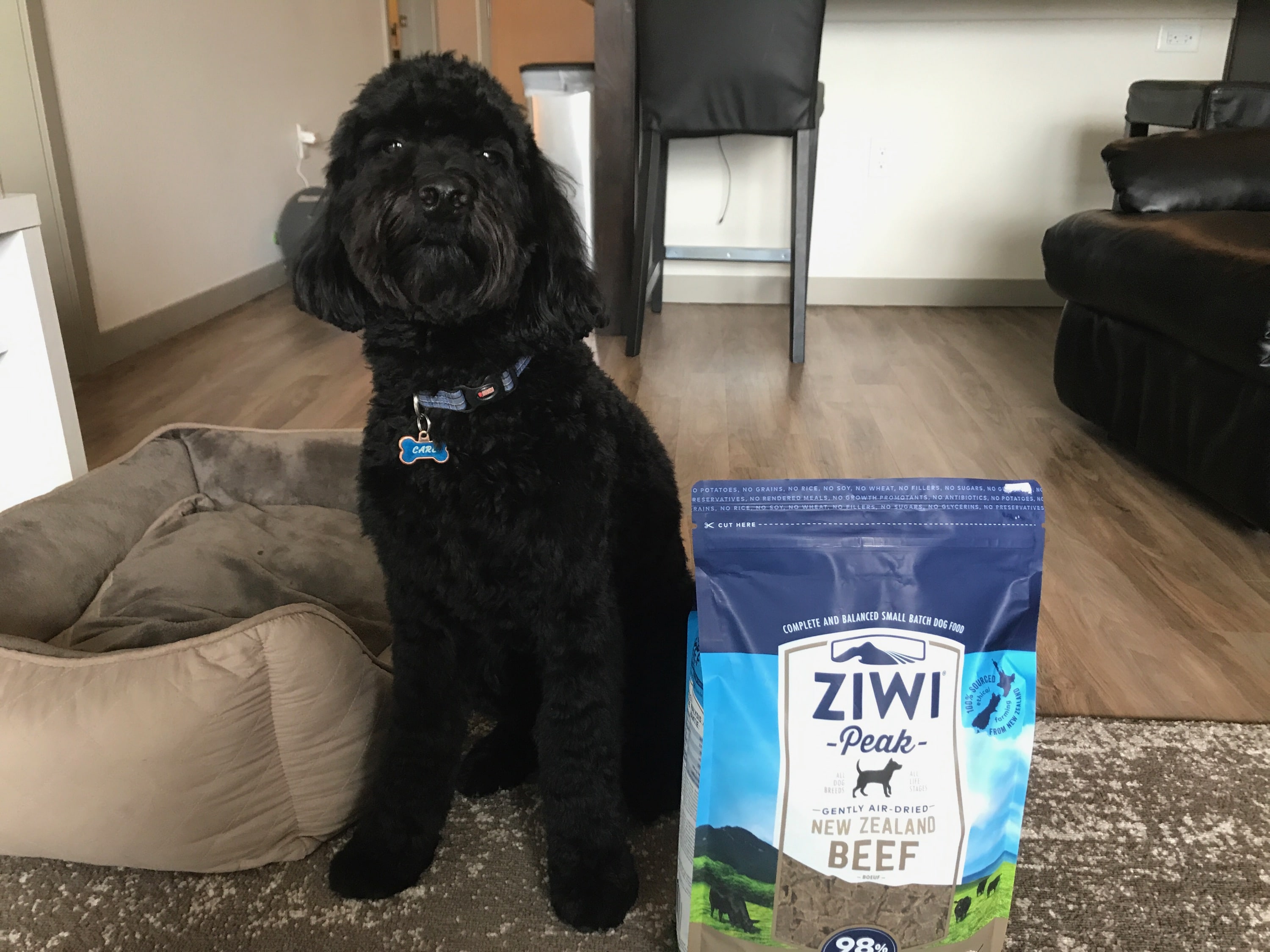 ZiwiPeak air dried dog food review: How it helped my dog