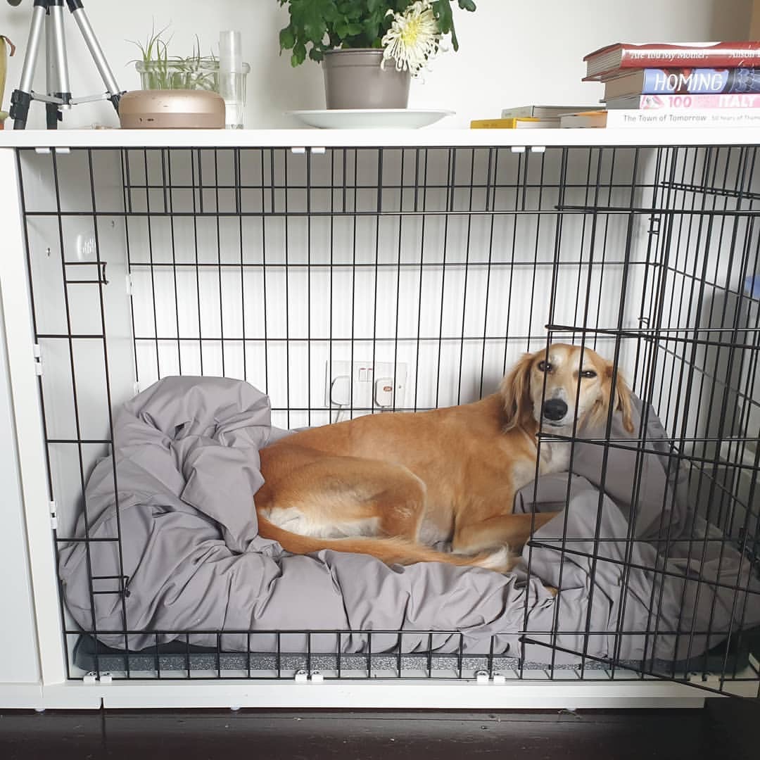 Your Guide To Choosing The Best Dog Crate Furniture Natural Dog