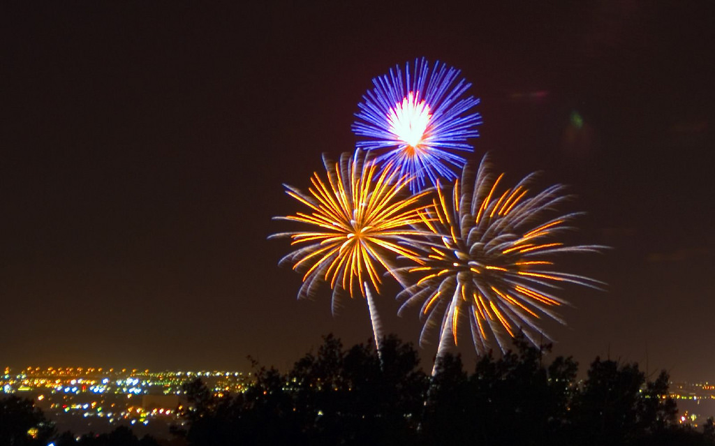 What to do when your dog is afraid of fireworks