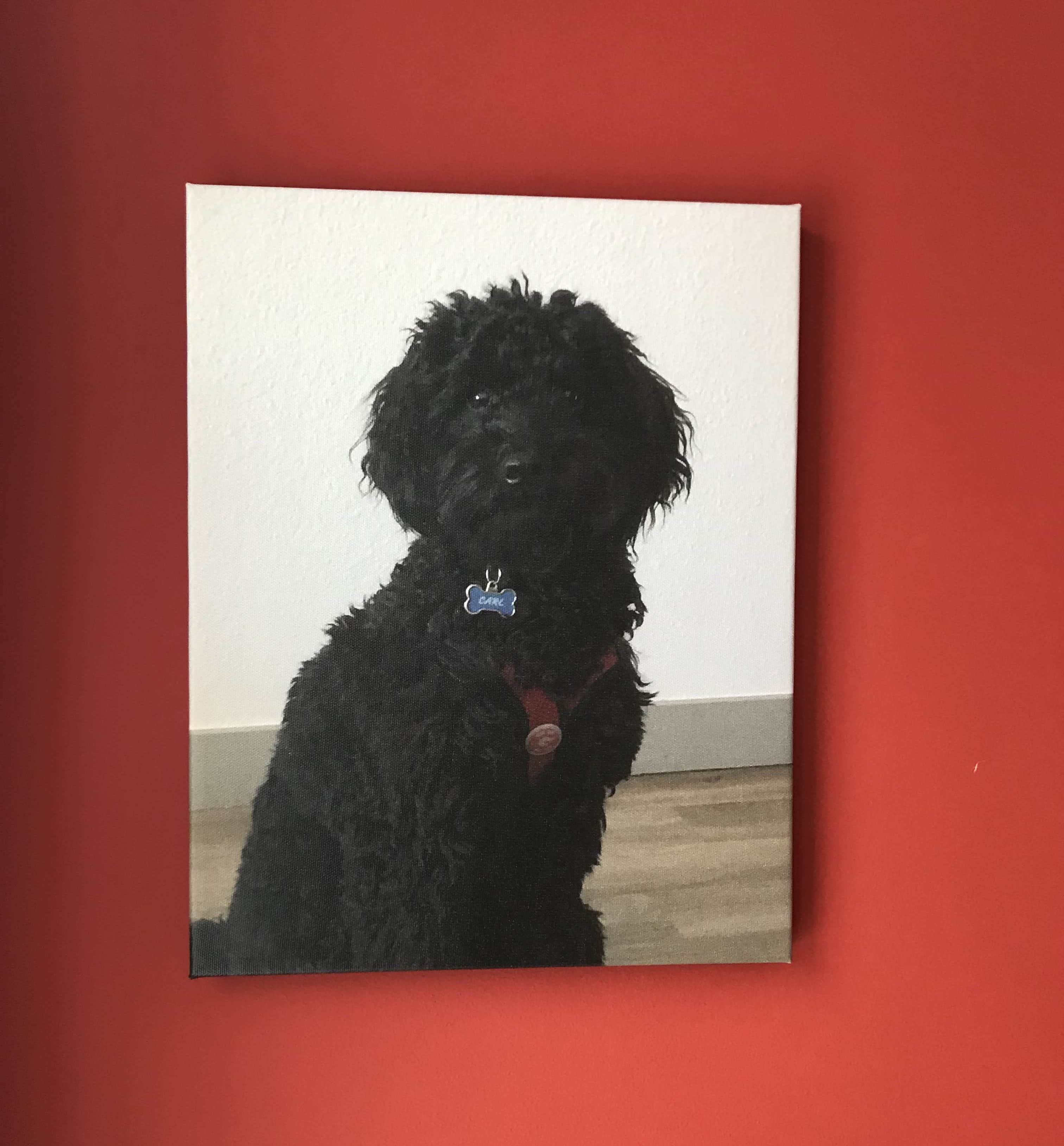 My canvas portrait of my dog carl