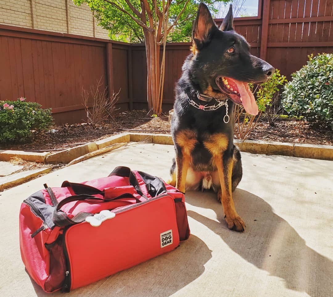 The best dog supplies travel bags for owners on the go
