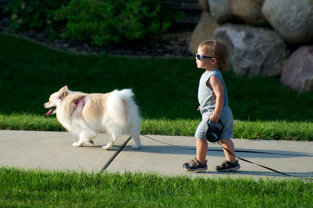 child walking dog on sidewalk