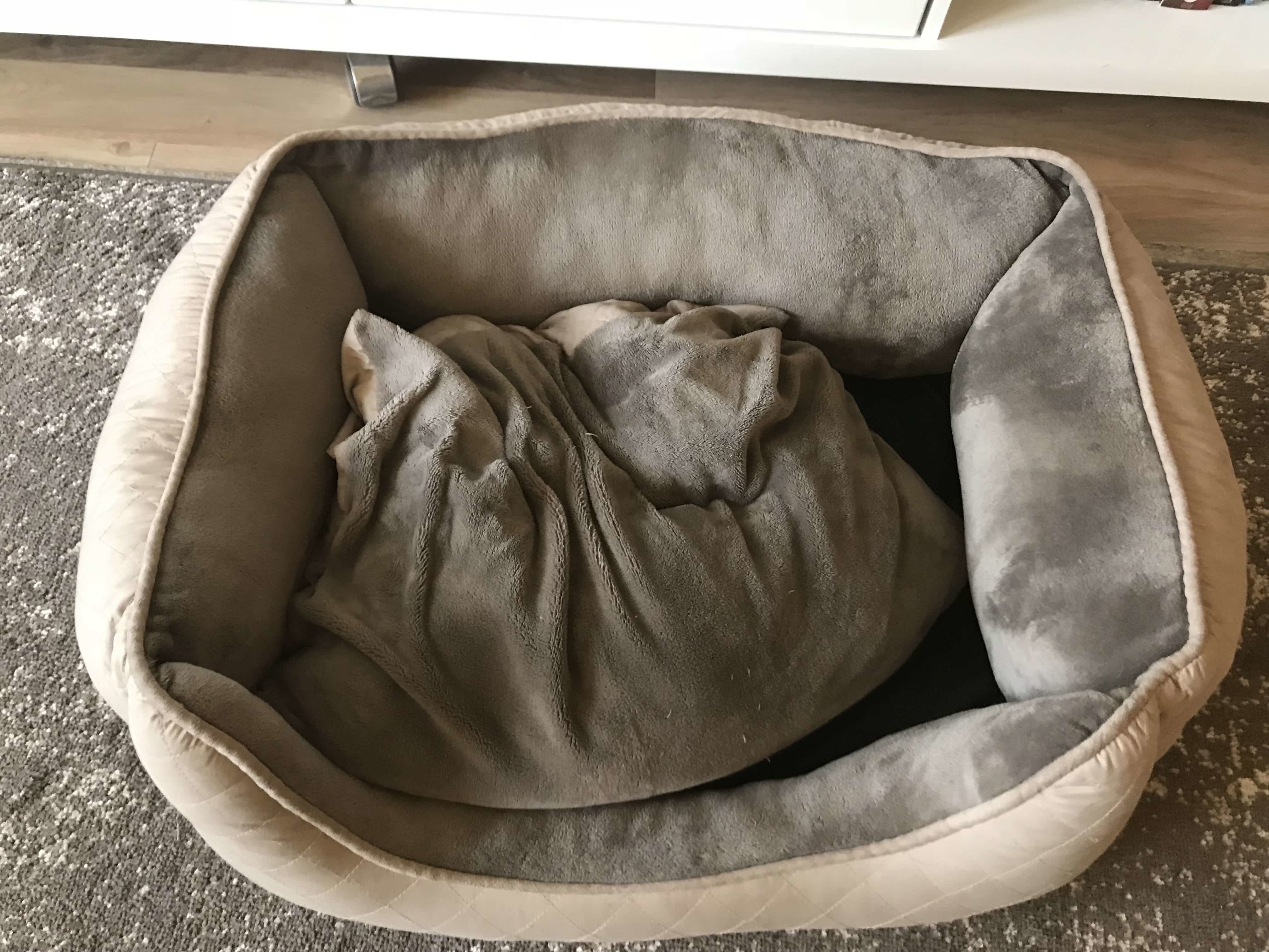 old traditional bed for my dog that smelled bad.